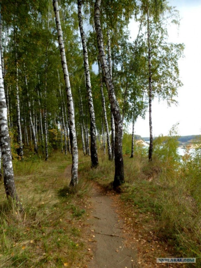 Генералы песчаного карьера