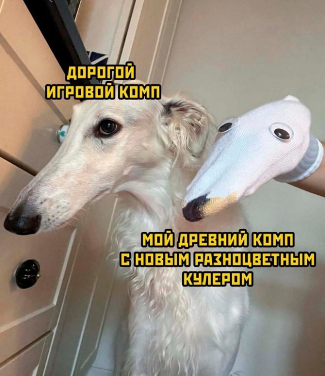 Картинки и мемы для настроения - 009
