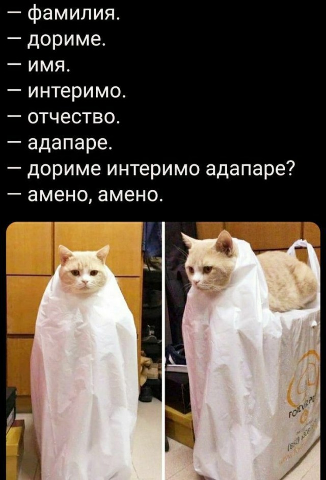 Так себе картинки 02.11.22