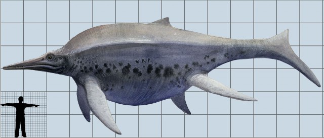 Шонизавр: Крупнейший морской ящер в истории. 80 тонн и запутанное прошлое. Как жила такая махина?
