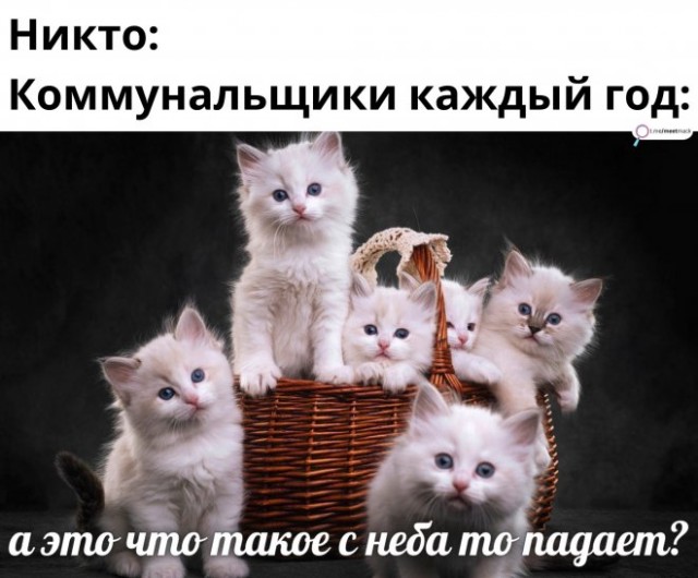 Немного картинок для настроения - 135