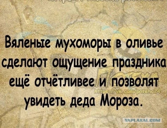 Так себе картинки 24.12.22