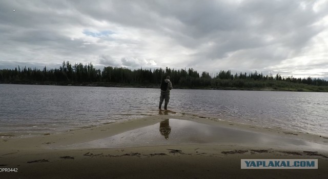 Тайга: страшные истории. Часть 3