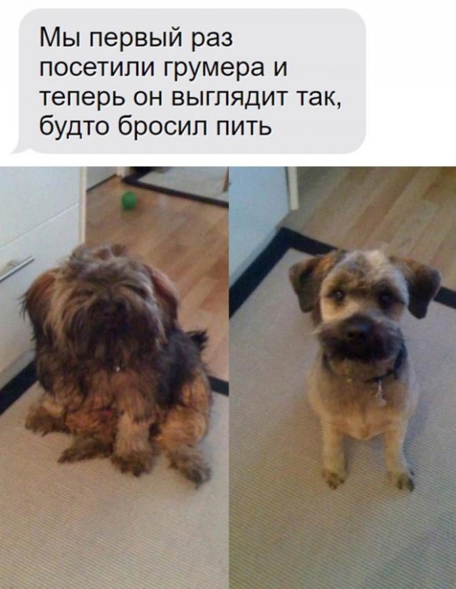 Картинки и мемы для настроения - 119