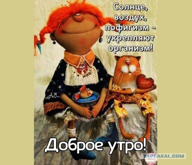 Прикольные и просто красивые картинки 21.02.2023