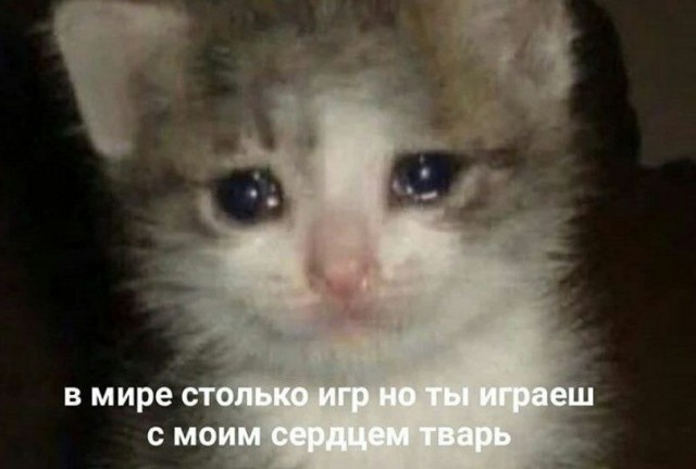 Всего понемногу. Выпуск от 13.03.