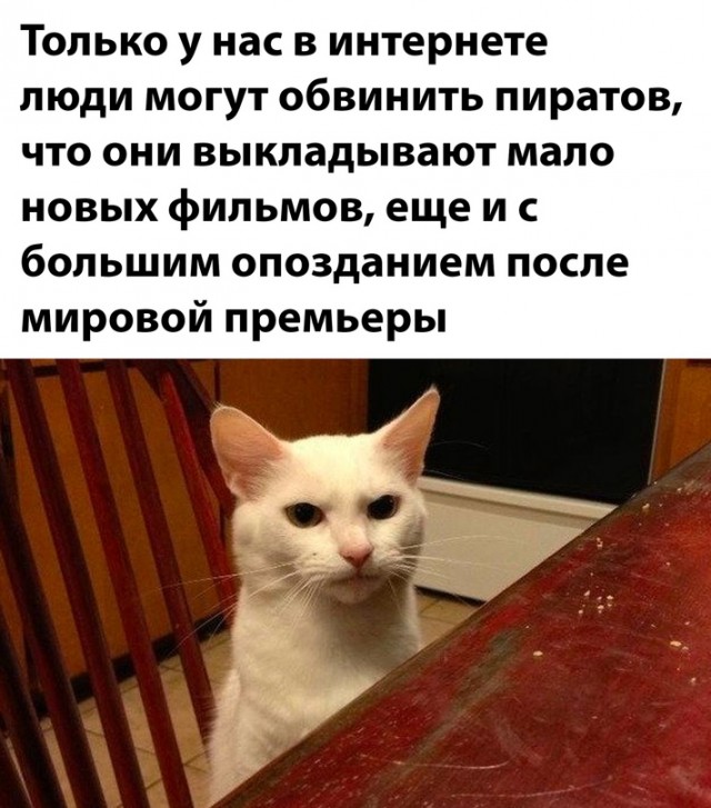 Весёлый полтишок 30.04.23