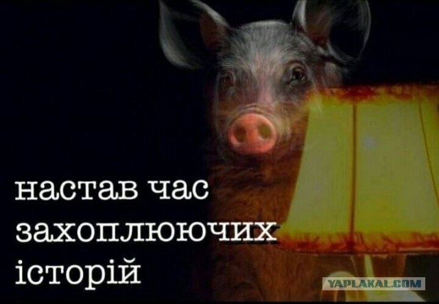 Конкурс, который мы "потеряли"