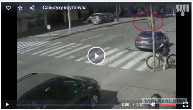 Сальтуха