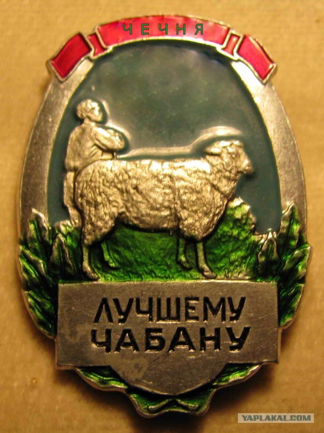 Ночная лезгинка в Ставрополе закончилась колонией