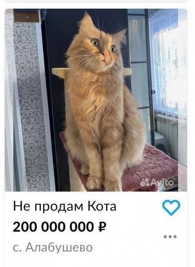 Нуштош 29.06.2023