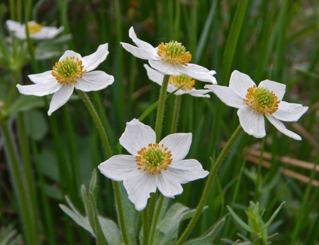 Уральское лето моими глазами