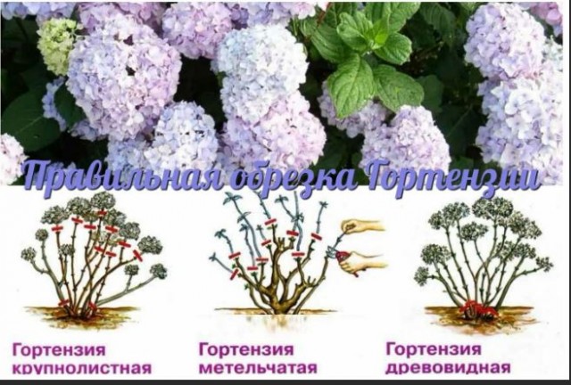Год назад. Доклад ООН про изменение климата: худшее впереди
