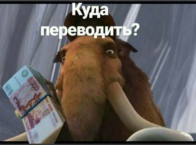 Начальник управления международных проектов «Роснефти» заказала в интернете велосипед за миллион рублей