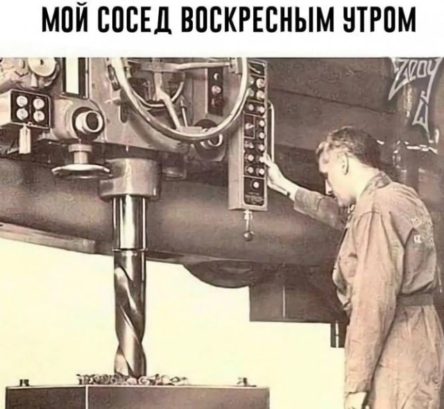 18312239.jpg