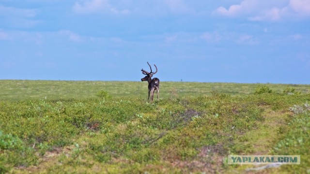 С Международным Днем Туризма