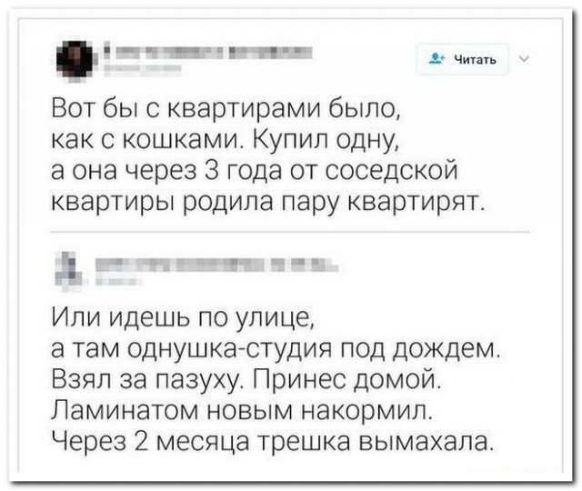 Забавные комментарии из социальных сетей (13.11.23)