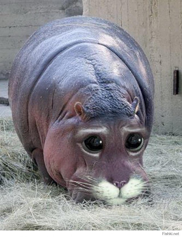 Женщина-кошка