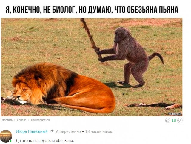 Нуштош 06.01.2024