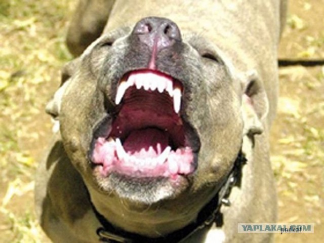 Самооборона