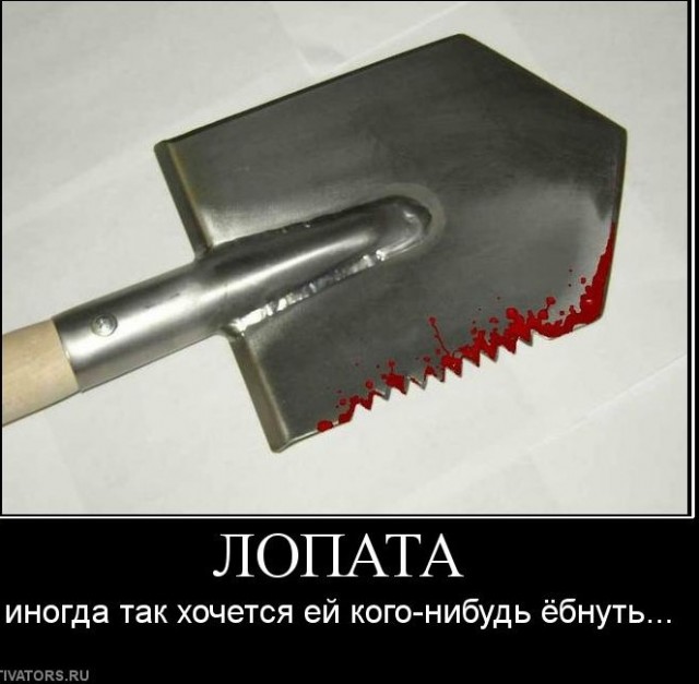 «Хоть бы кто лопату взял и помог. Недоумки»