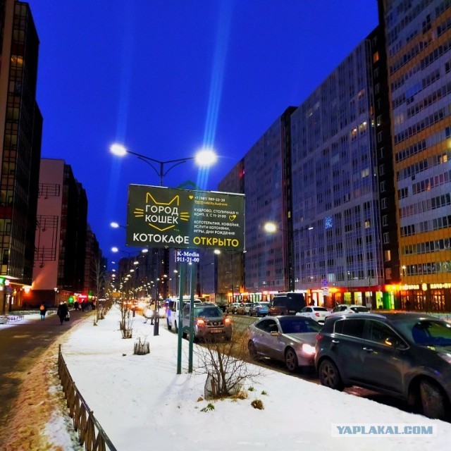 Кудрово. Февраль 2023