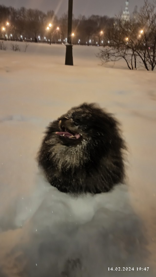 Тоша