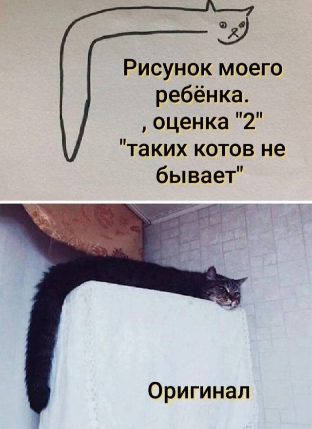 Никакие картинки