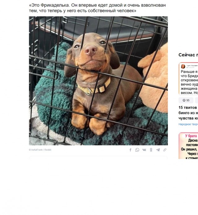 Он это заслужил⁠⁠