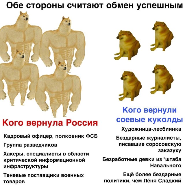 Масштабный обмен заключенными между РФ, Белоруссией, США и Германией