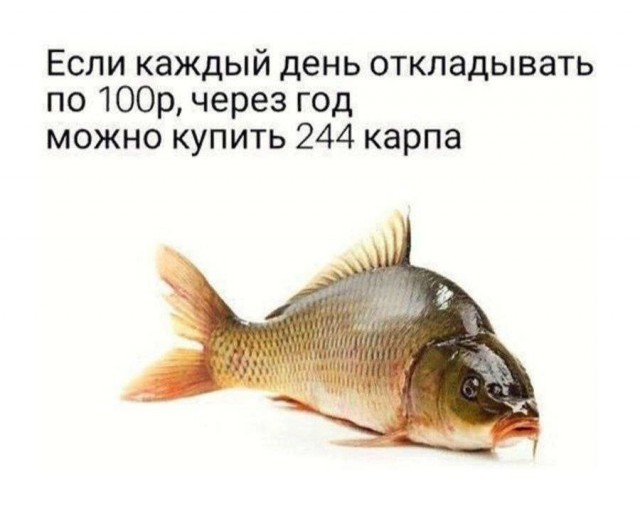 Веселые картинки к пятнице (16.08)