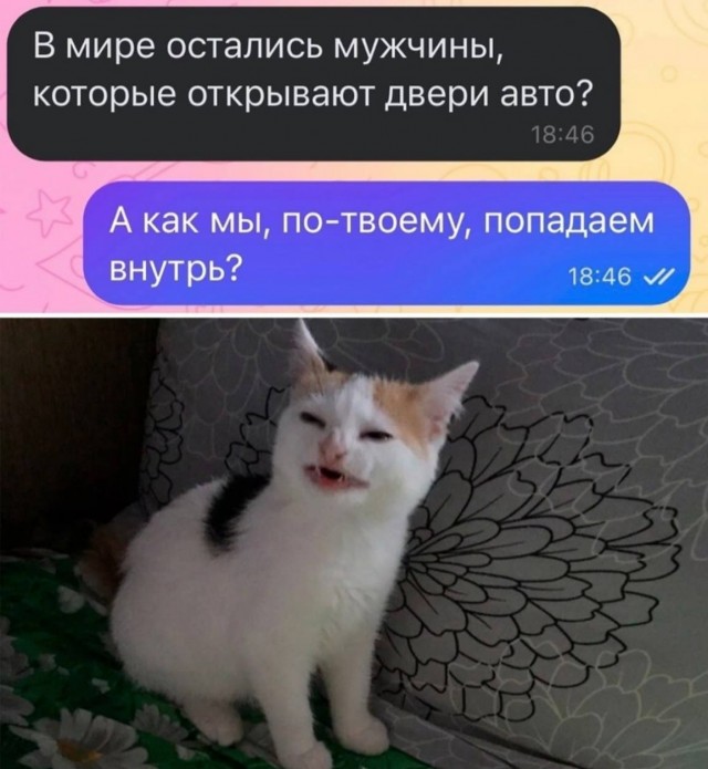 забавные картинки, шутки из этих ваших интернетов