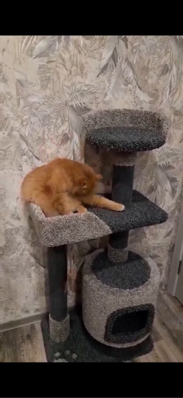Коробочки наше фсё