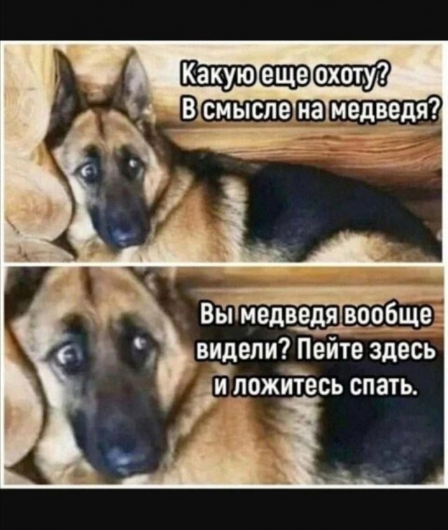 Завалялось тут случайно немного забавных картинок