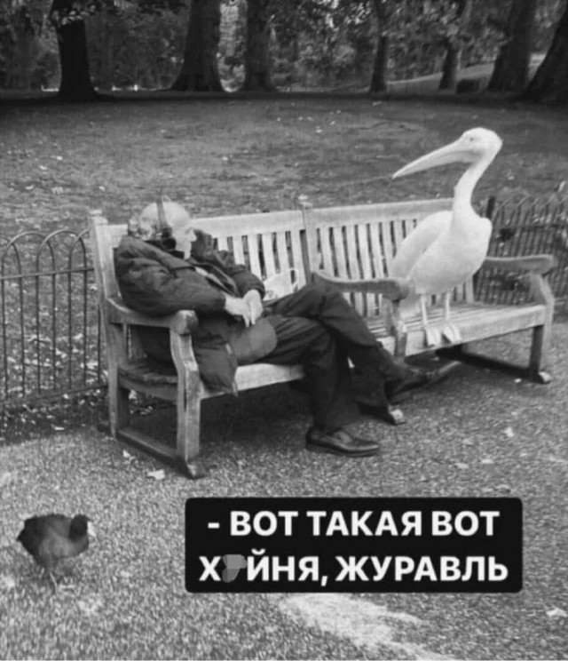 Завалялось тут случайно немного забавных картинок
