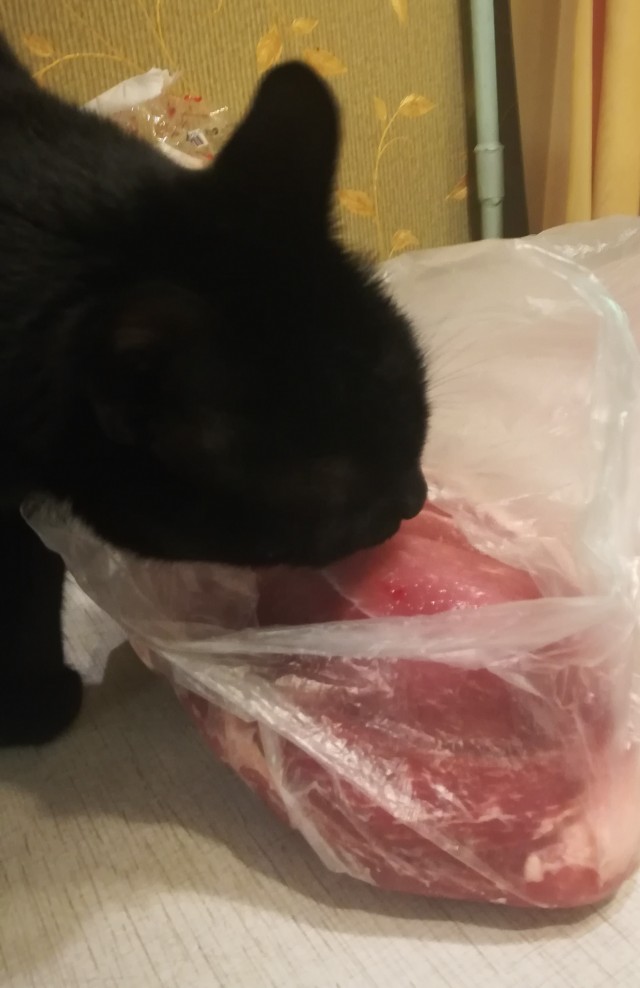Поглощающая тьма