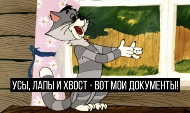 Обязательную регистрацию собак вводят в Подмосковье