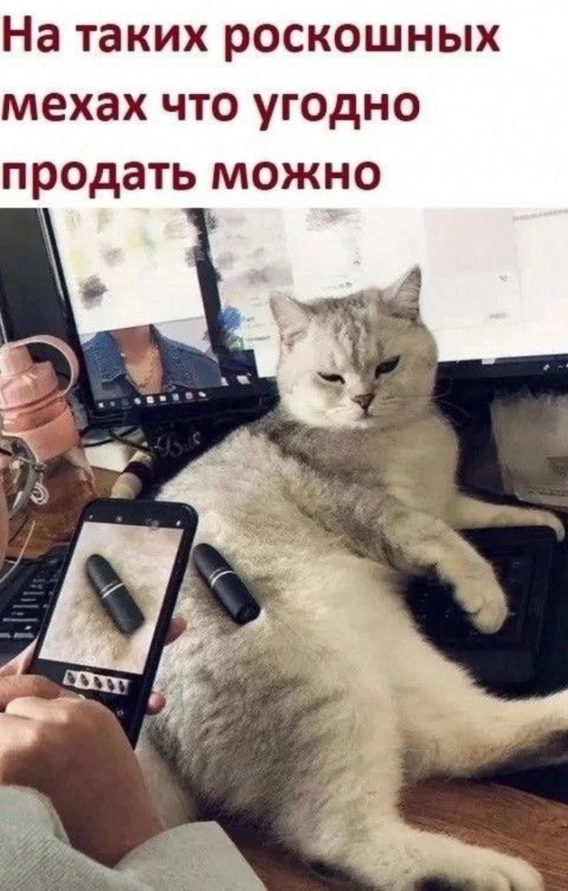 Завалялось тут случайно немного забавных картинок