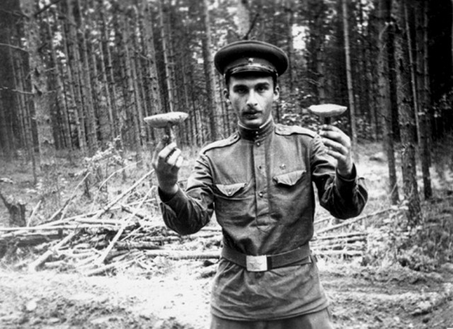 Последние месяцы, недели, дни войны