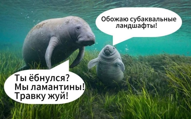 Маленькая пятница 28.05