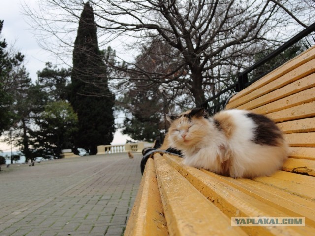 Уже скоро! На всех улицах страны!