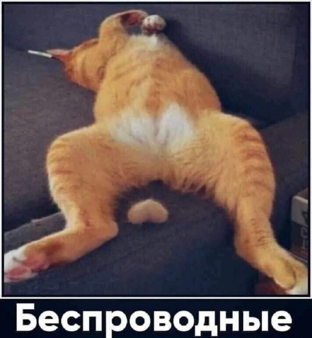 Так себе картинки 07.09.25