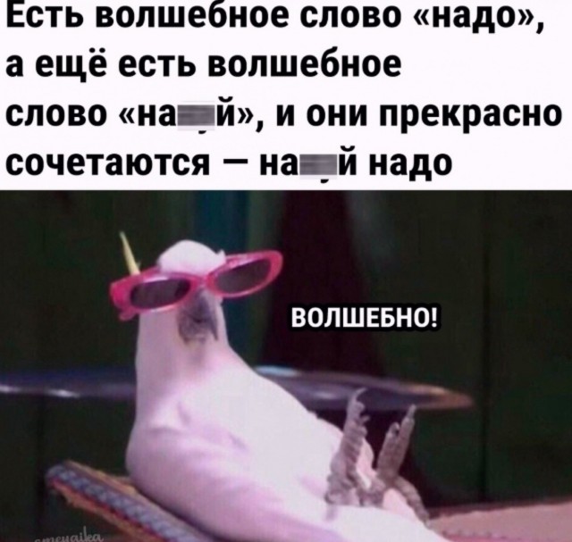 Веселое настроение в картинках (01.10.2025)