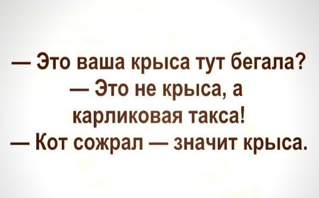 Что ты такое?