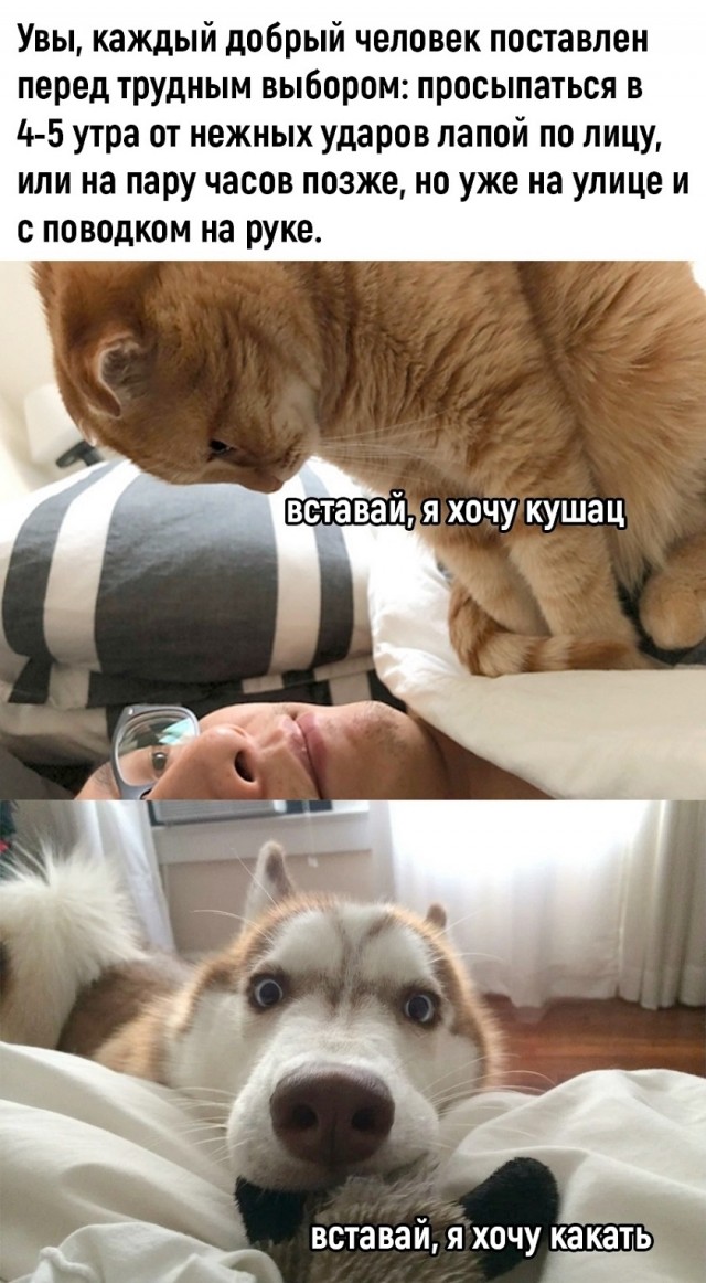 Так себе картинки 02.11.25