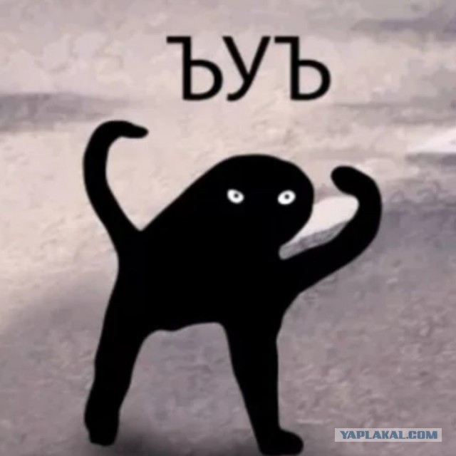 Очень чёрное создание. Пантера просто.