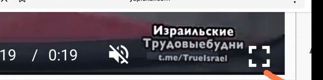 Мзорг возвращается с работы