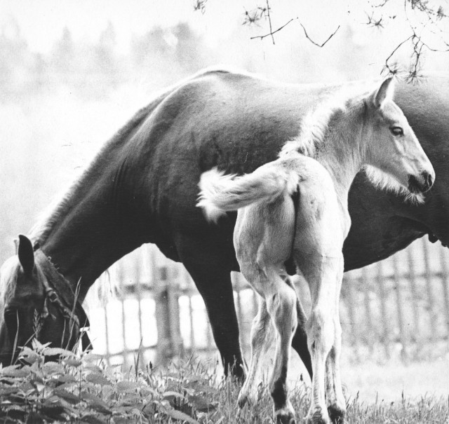 Советские женщины 1970-х годов