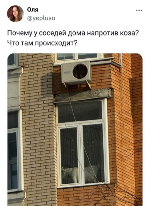 Так себе картинки 26.02.26