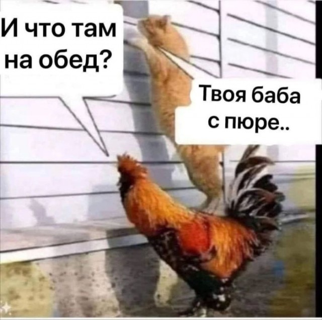 Субботние картинки